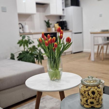 Apartament Na Skalkach Jelenia Góra Εξωτερικό φωτογραφία