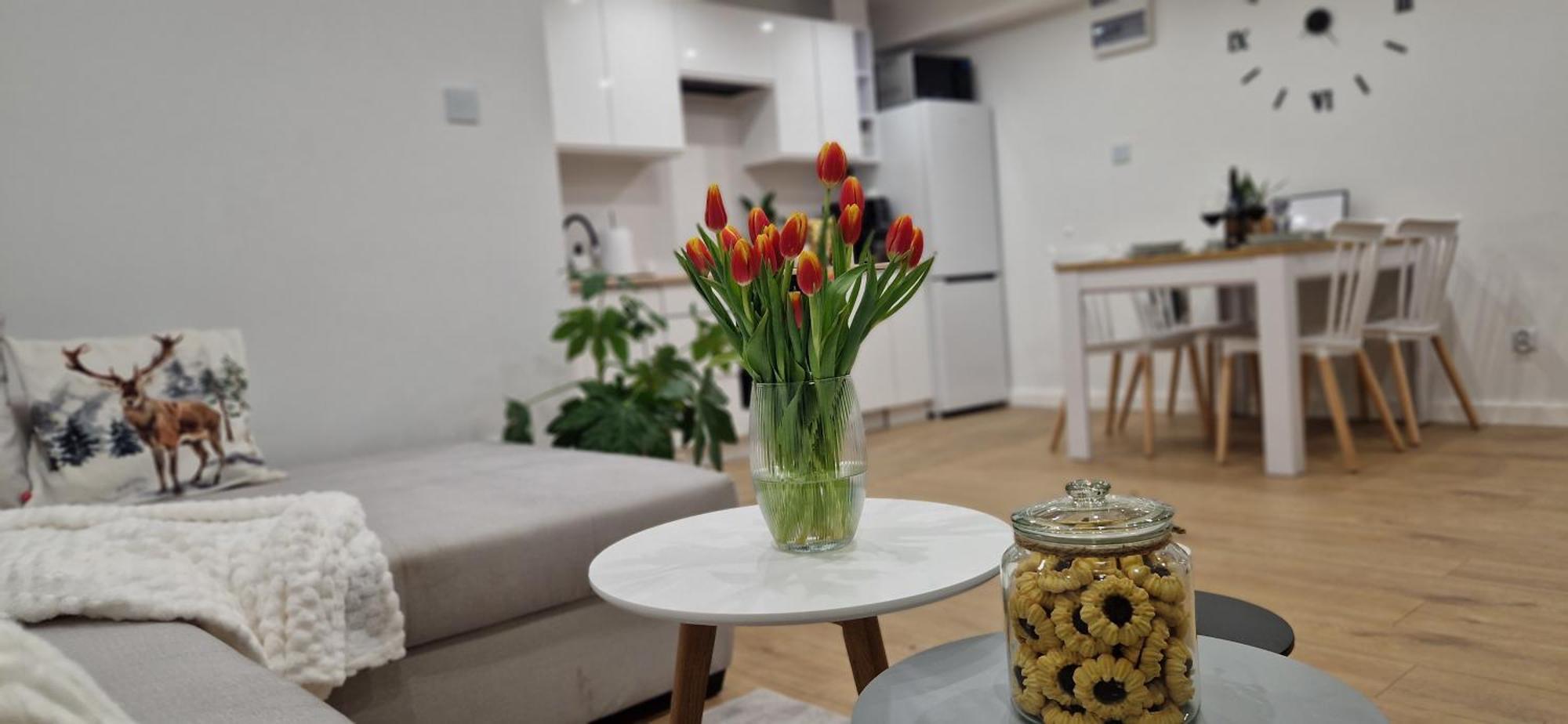 Apartament Na Skalkach Jelenia Góra Εξωτερικό φωτογραφία